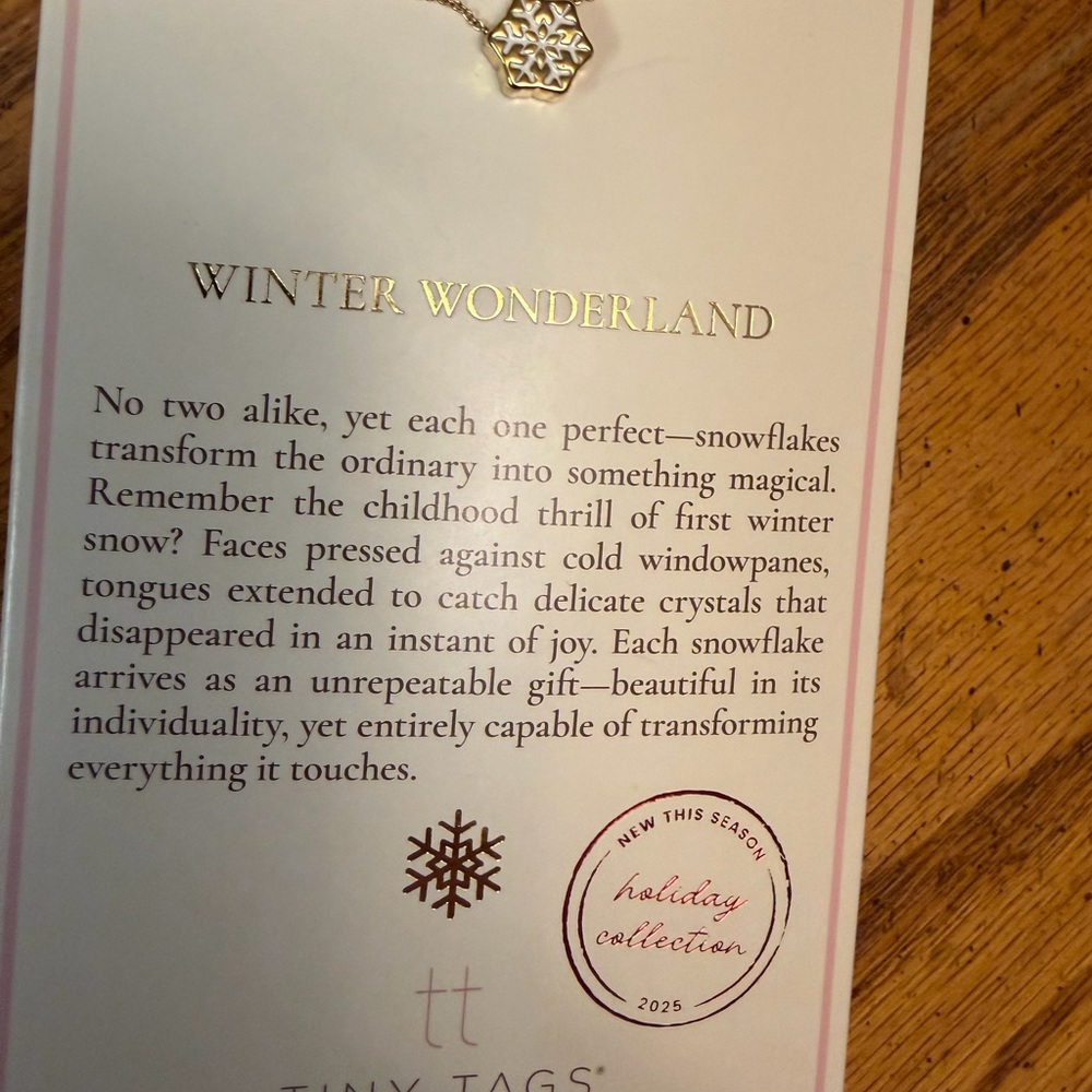 Silver Snowflake Necklace